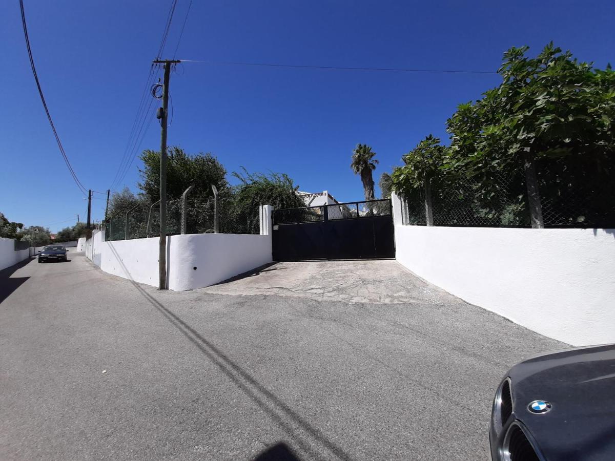 Casa Das 3 Palmeiras アライオロス エクステリア 写真