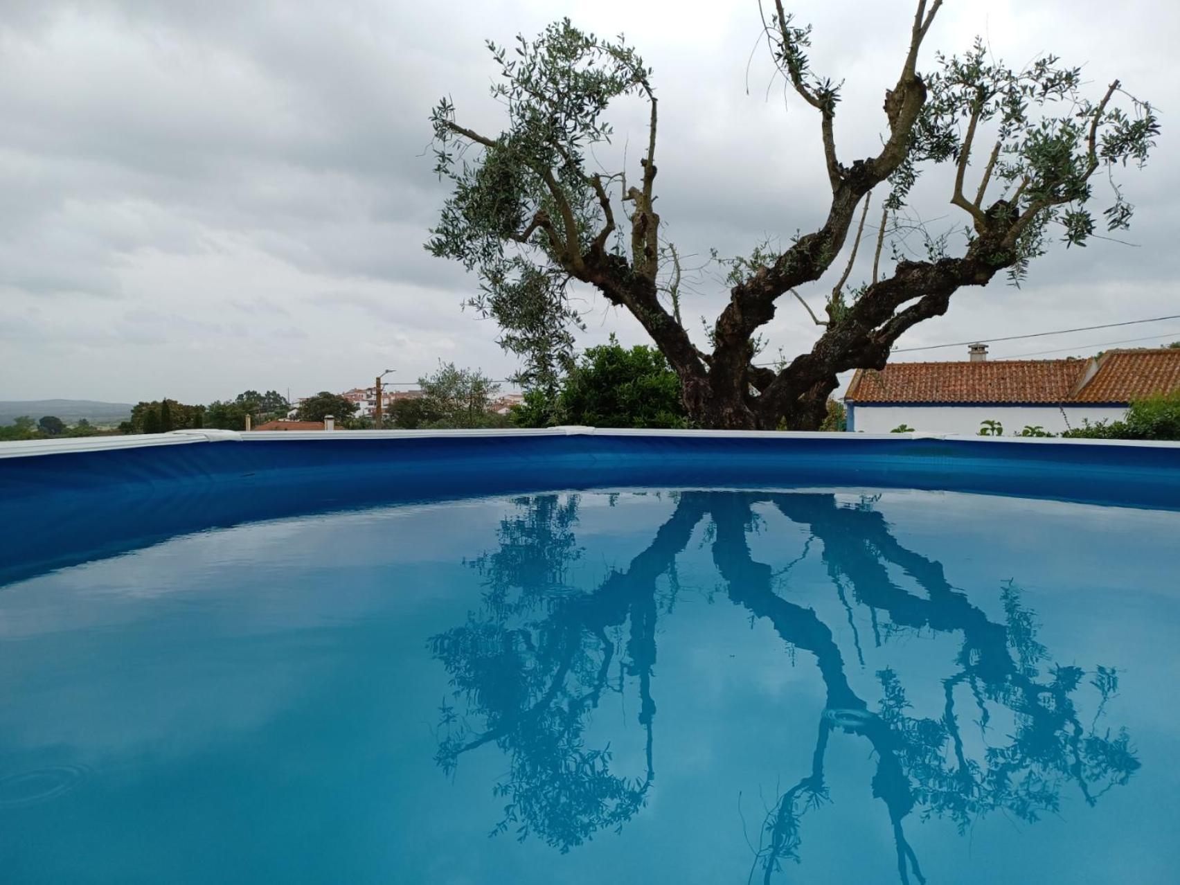 Casa Das 3 Palmeiras アライオロス エクステリア 写真